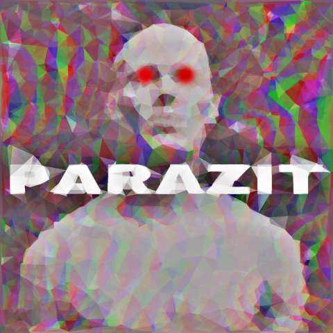 دانلود آهنگ سینا انعکاس به نام پارازیت